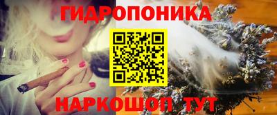 прущие крисы Нальчик