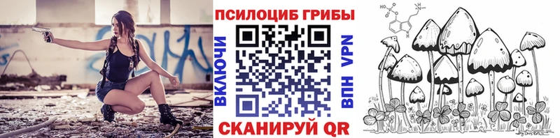 Галлюциногенные грибы Magic Shrooms  Черняховск 