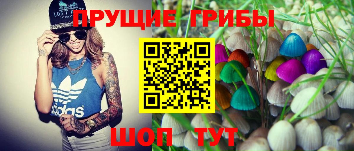 Галлюциногенные грибы MAGIC MUSHROOMS Черняховск