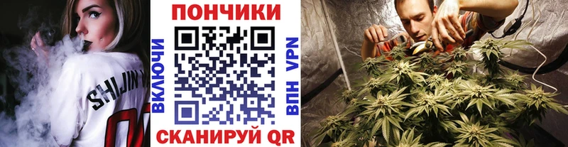 Конопля гибрид  это формула  Черняховск 